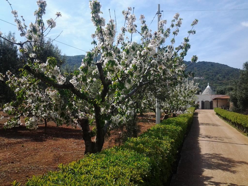 La Collina Degli Ulivi Lägenhet Fasano Exteriör bild