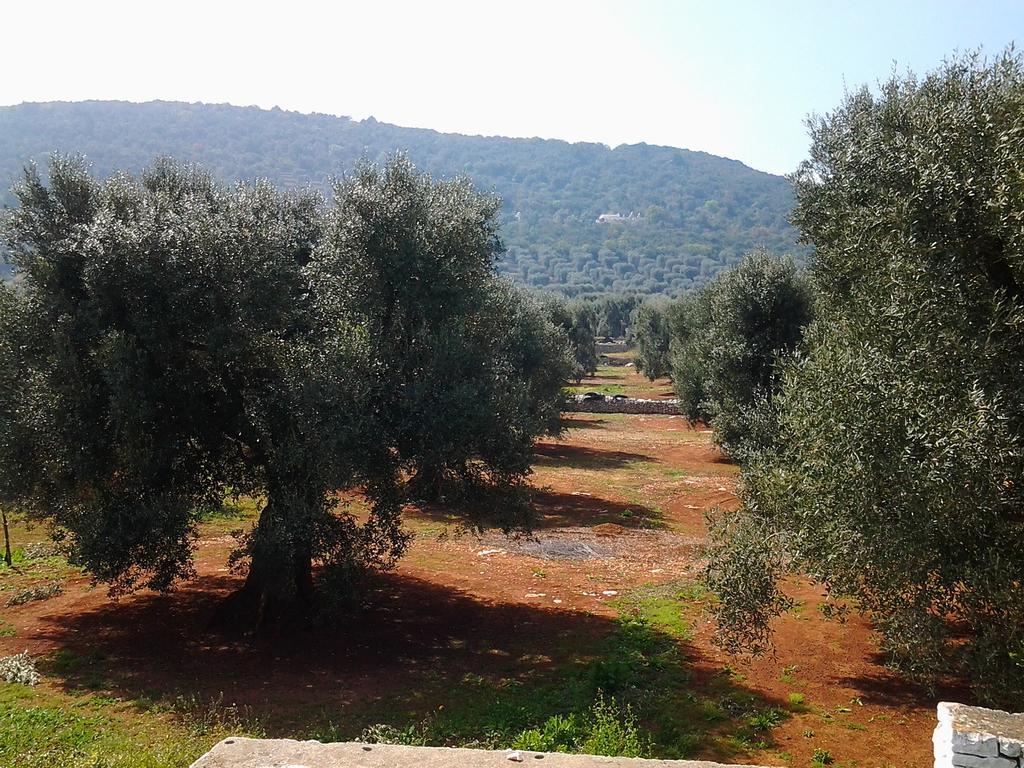 La Collina Degli Ulivi Lägenhet Fasano Exteriör bild