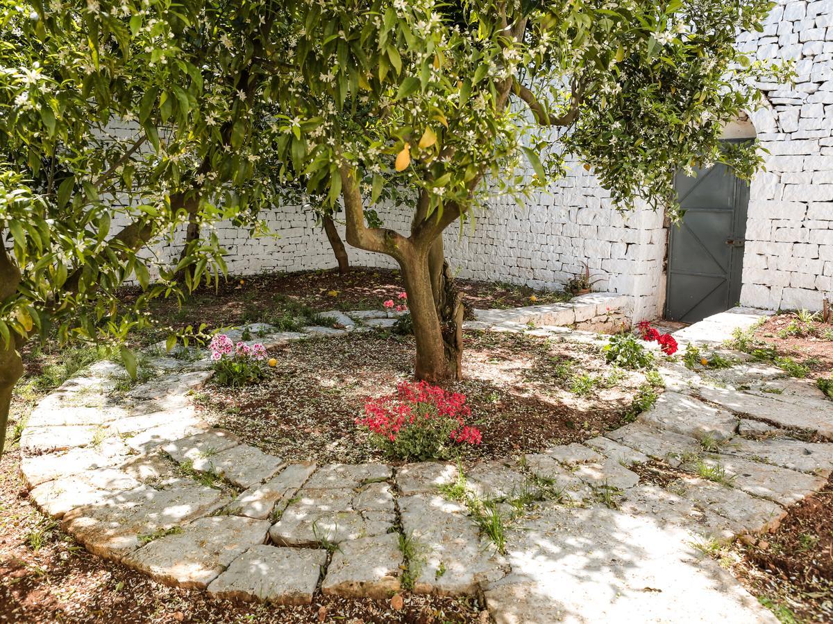 La Collina Degli Ulivi Lägenhet Fasano Exteriör bild